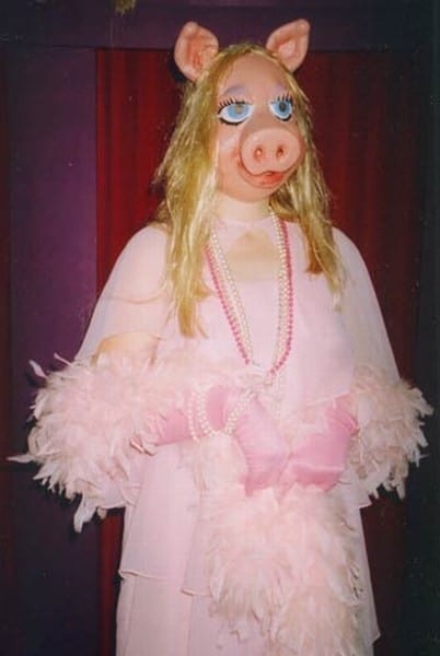miss piggy 2 heidelberg fancy dress